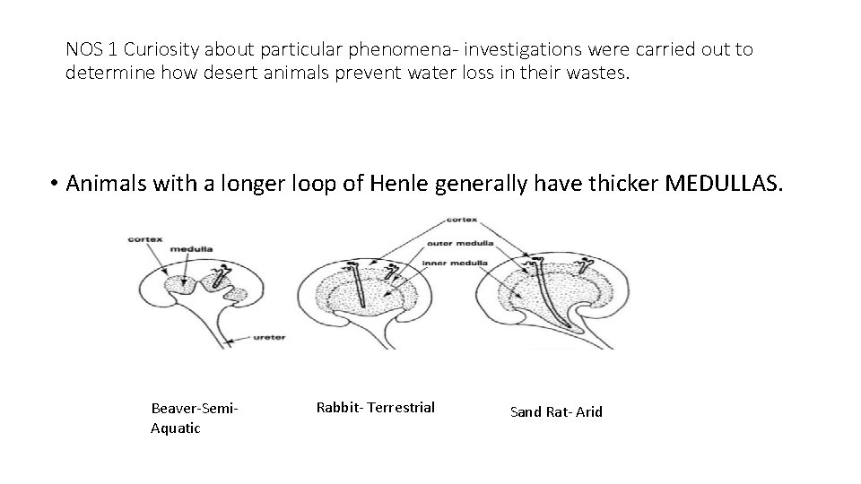 NOS 1 Curiosity about particular phenomena- investigations were carried out to determine how desert