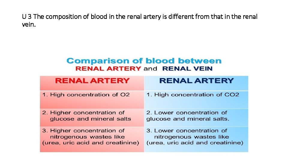U 3 The composition of blood in the renal artery is different from that U 3 The composition of blood in the renal artery is different from that