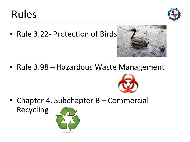 Rules • Rule 3. 22 - Protection of Birds • Rule 3. 98 –