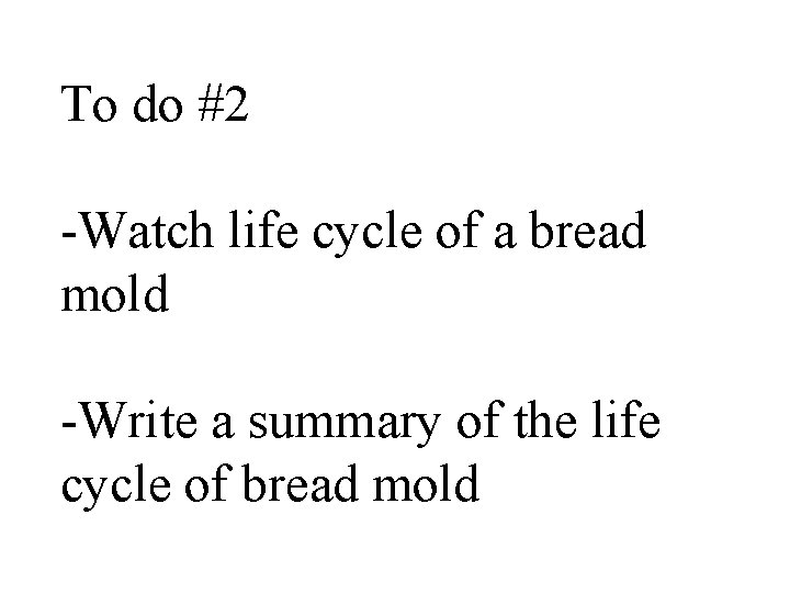 To do #2 -Watch life cycle of a bread mold -Write a summary of To do #2 -Watch life cycle of a bread mold -Write a summary of
