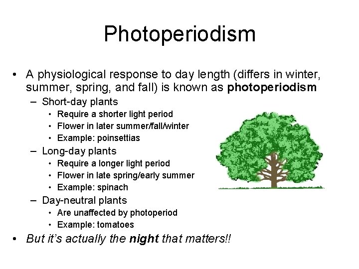 Photoperiodism • A physiological response to day length (differs in winter, summer, spring, and Photoperiodism • A physiological response to day length (differs in winter, summer, spring, and