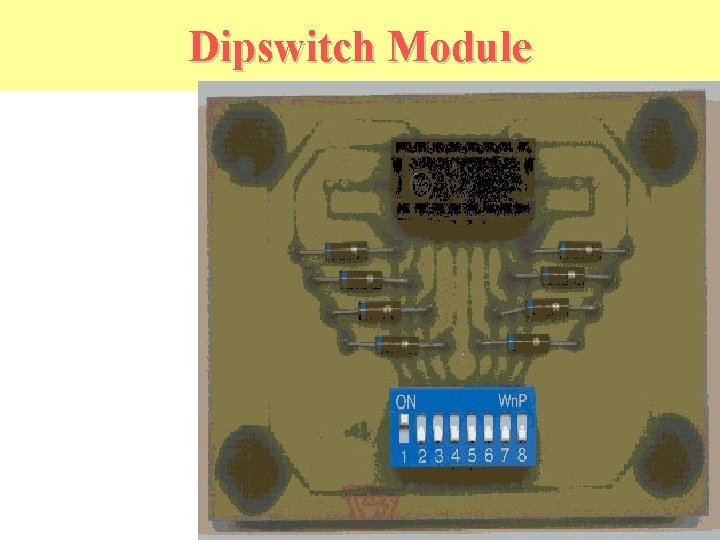 Dipswitch Module 