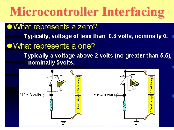 Microcontroller Interfacing 