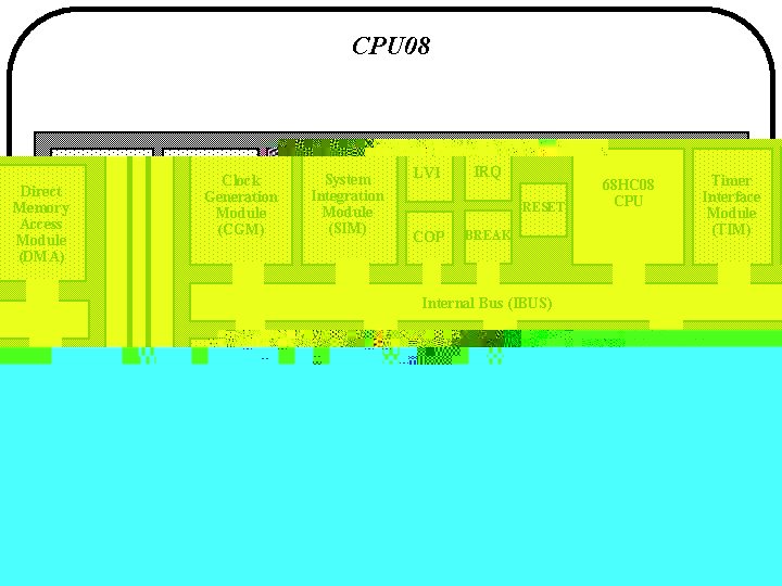 CPU 08 Clock Generation Module (CGM) System Integration Module (SIM) LVI IRQ RESET COP