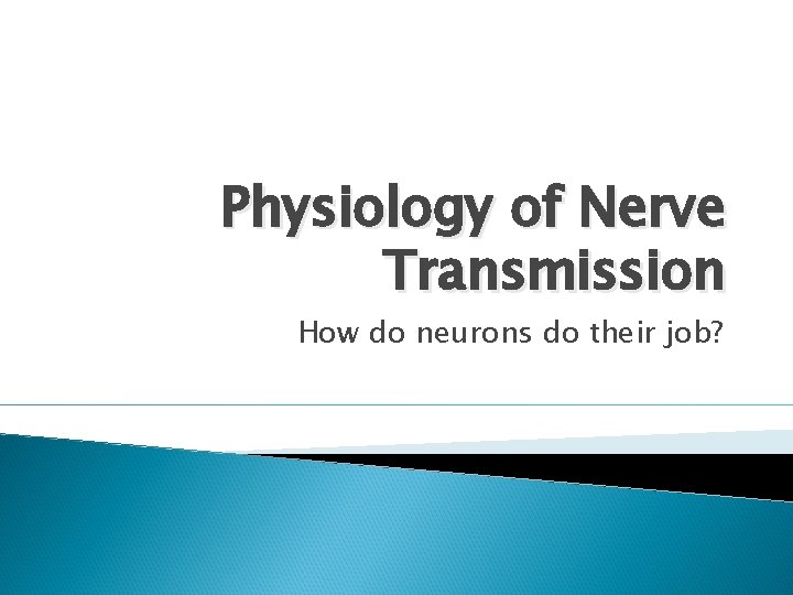 Physiology of Nerve Transmission How do neurons do their job? 