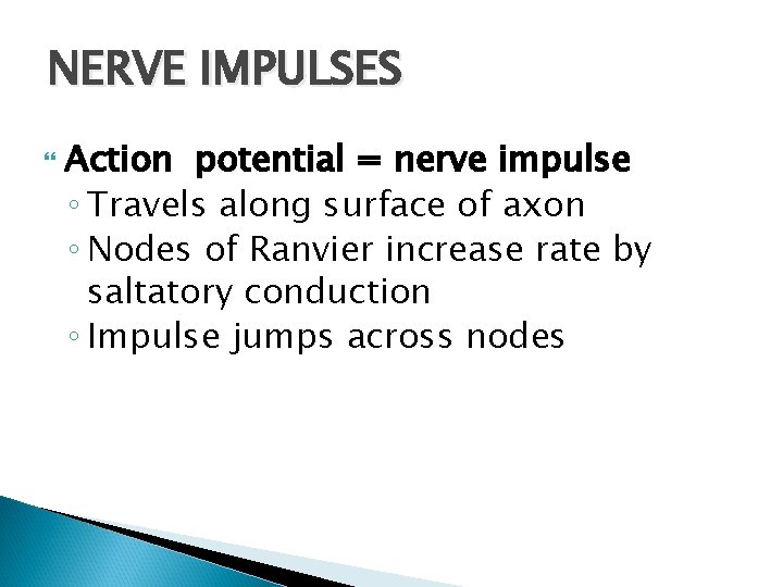 NERVE IMPULSES Action potential = nerve impulse ◦ Travels along surface of axon ◦
