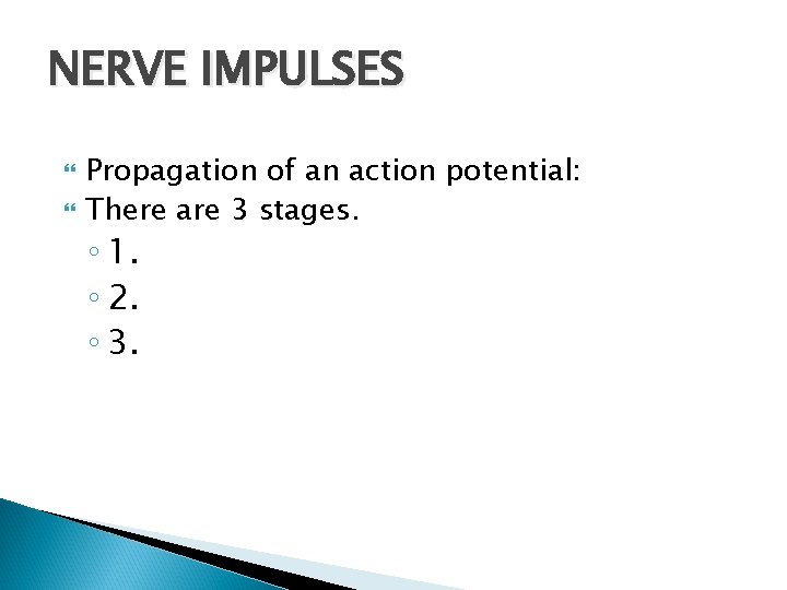 NERVE IMPULSES Propagation of an action potential: There are 3 stages. ◦ 1. ◦