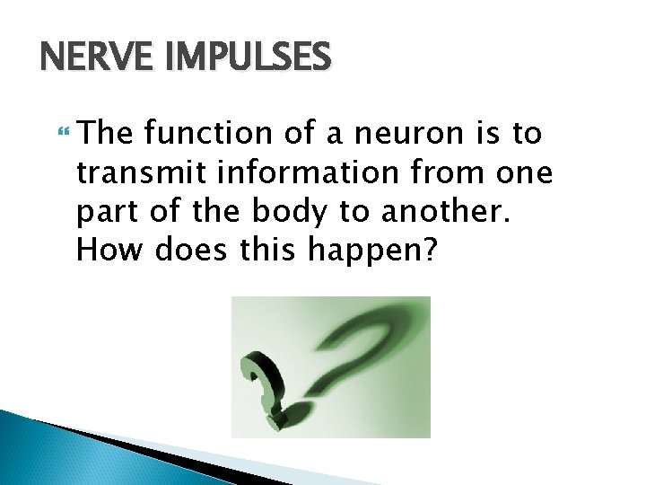 NERVE IMPULSES The function of a neuron is to transmit information from one part