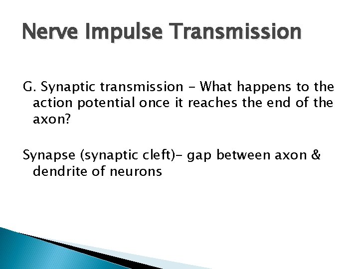 Nerve Impulse Transmission G. Synaptic transmission - What happens to the action potential once