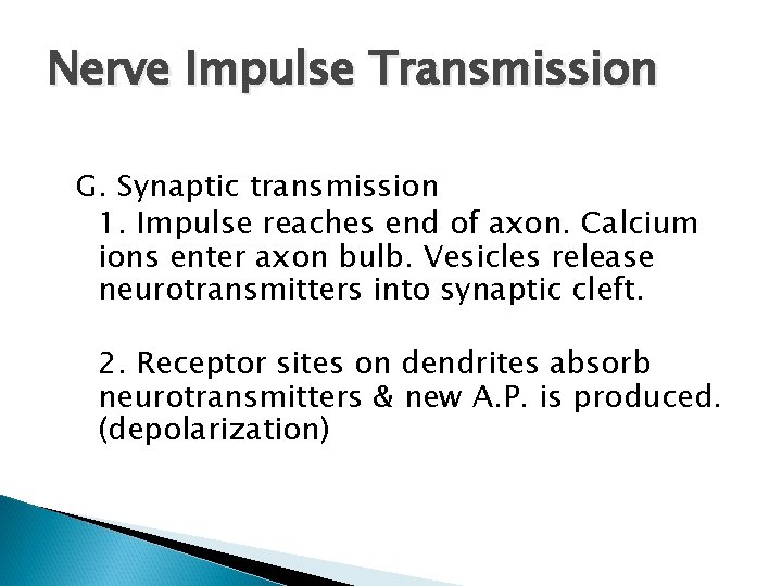 Nerve Impulse Transmission G. Synaptic transmission 1. Impulse reaches end of axon. Calcium ions