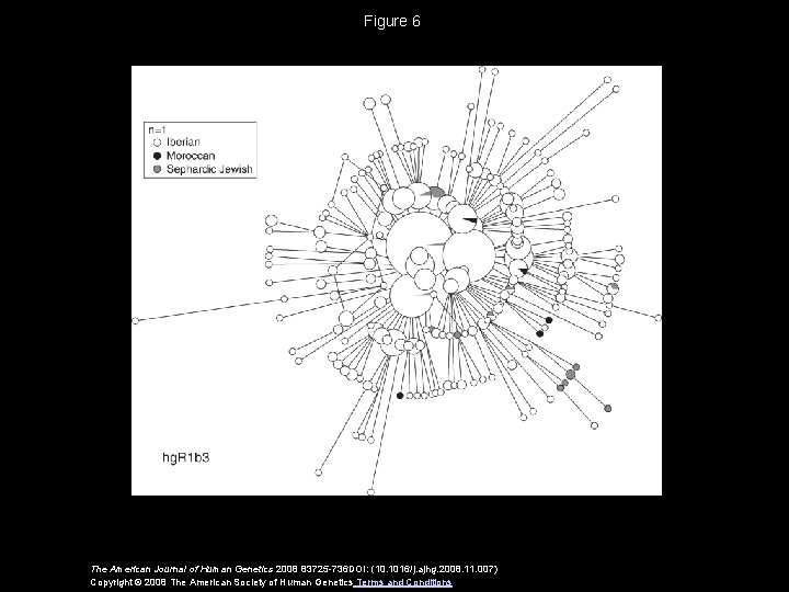 Figure 6 The American Journal of Human Genetics 2008 83725 -736 DOI: (10. 1016/j.