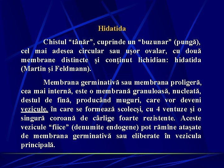 Hidatida Chistul “tânăr”, cuprinde un “buzunar” (pungă), cel mai adesea circular sau uşor ovalar, Hidatida Chistul “tânăr”, cuprinde un “buzunar” (pungă), cel mai adesea circular sau uşor ovalar,