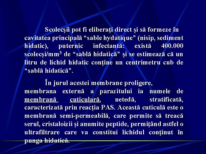 Scolecşii pot fi eliberaţi direct şi să formeze în cavitatea principală “sable hydatique” (nisip, Scolecşii pot fi eliberaţi direct şi să formeze în cavitatea principală “sable hydatique” (nisip,