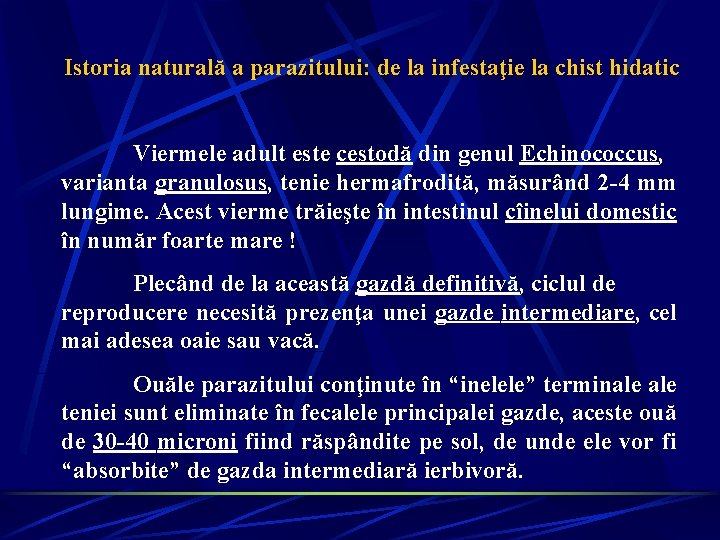 Istoria naturală a parazitului: de la infestaţie la chist hidatic Viermele adult este cestodă Istoria naturală a parazitului: de la infestaţie la chist hidatic Viermele adult este cestodă