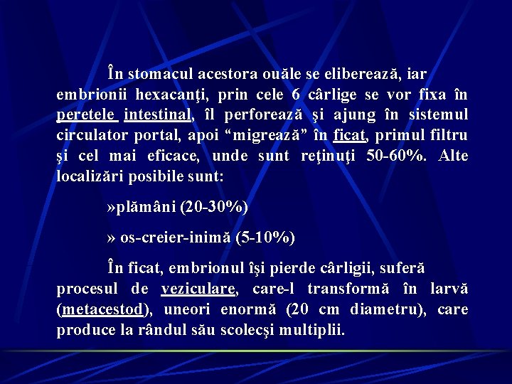 În stomacul acestora ouăle se eliberează, iar embrionii hexacanţi, prin cele 6 cârlige se În stomacul acestora ouăle se eliberează, iar embrionii hexacanţi, prin cele 6 cârlige se