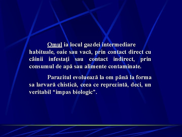 Omul ia locul gazdei intermediare habituale, oaie sau vacă, prin contact direct cu câinii Omul ia locul gazdei intermediare habituale, oaie sau vacă, prin contact direct cu câinii