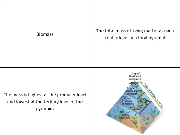 Biomass The mass is highest at the producer level and lowest at the tertiary