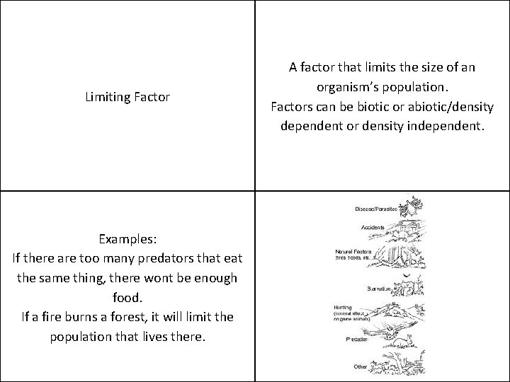 Limiting Factor Examples: If there are too many predators that eat the same thing,