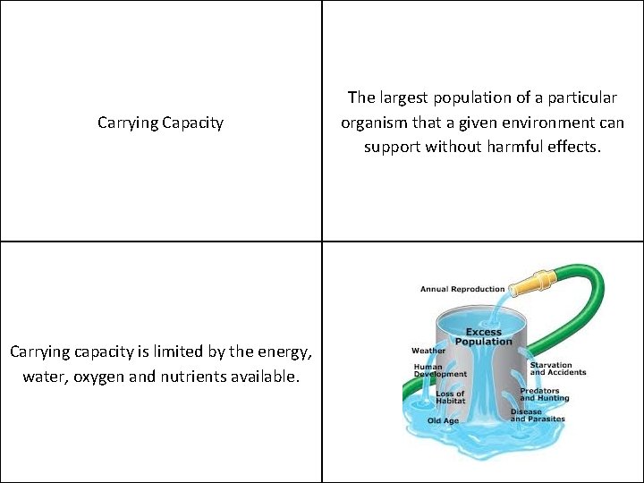 Carrying Capacity Carrying capacity is limited by the energy, water, oxygen and nutrients available.