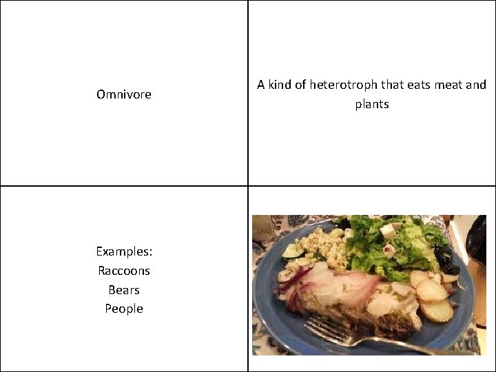 Omnivore Examples: Raccoons Bears People A kind of heterotroph that eats meat and plants