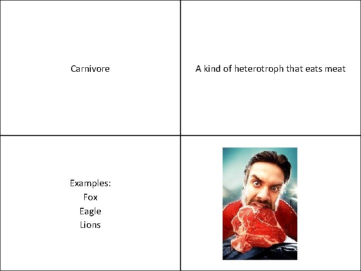 Carnivore Examples: Fox Eagle Lions A kind of heterotroph that eats meat 