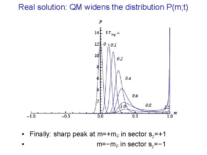 Real solution: QM widens the distribution P(m; t) • Finally: sharp peak at m=+m.