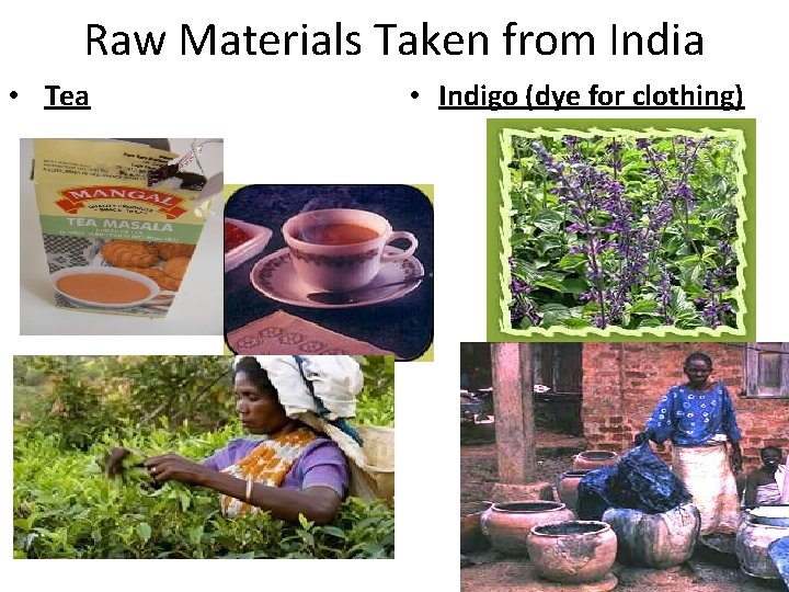 Raw Materials Taken from India • Tea • Indigo (dye for clothing) 