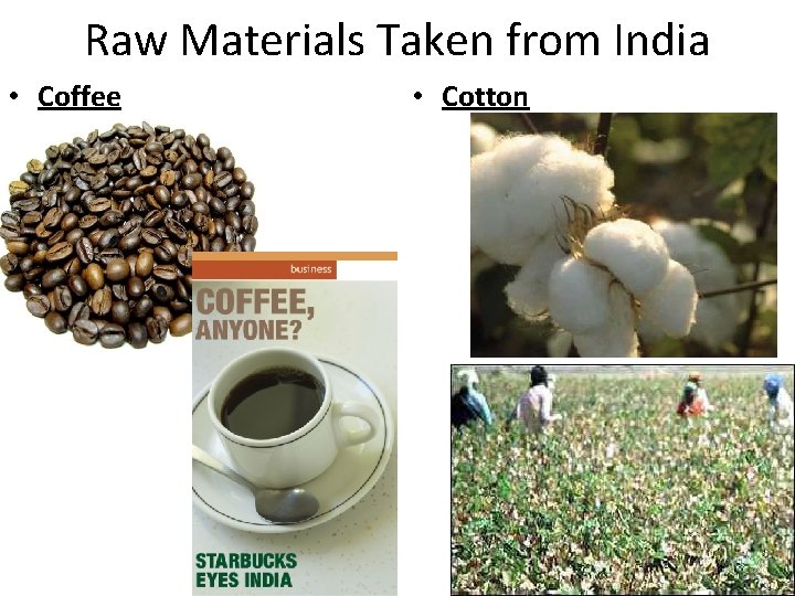 Raw Materials Taken from India • Coffee • Cotton 