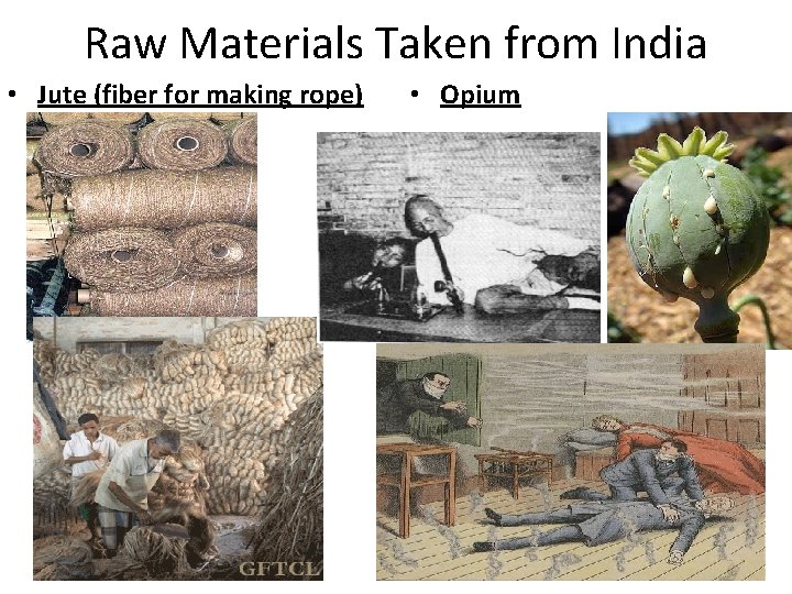 Raw Materials Taken from India • Jute (fiber for making rope) • Opium 