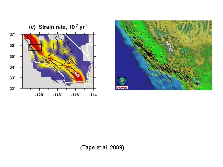 (Tape et al, 2009) 