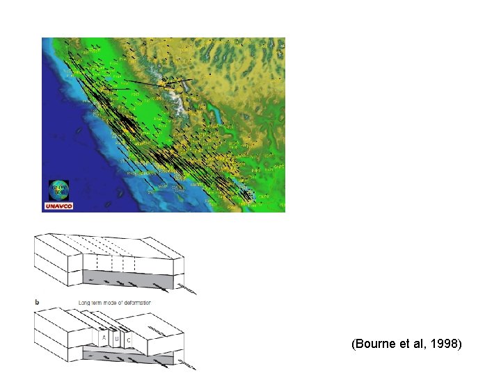 (Bourne et al, 1998) 