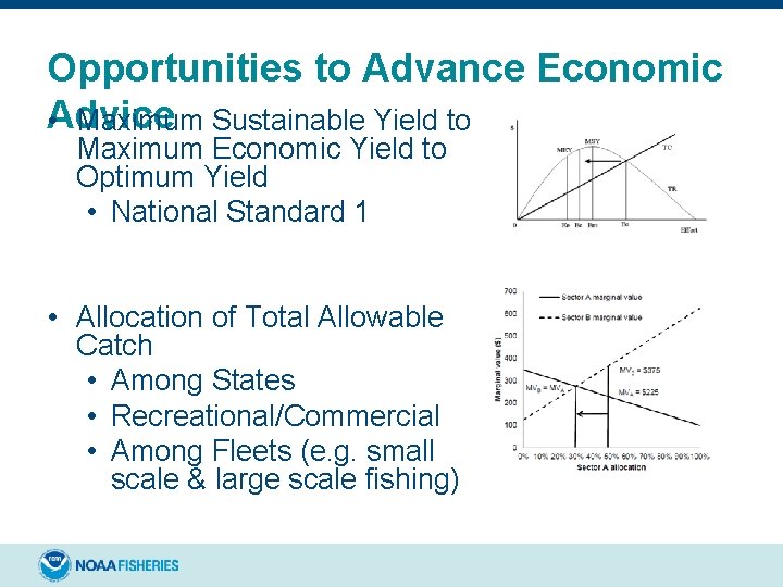 Opportunities to Advance Economic • Advice Maximum Sustainable Yield to Maximum Economic Yield to Opportunities to Advance Economic • Advice Maximum Sustainable Yield to Maximum Economic Yield to