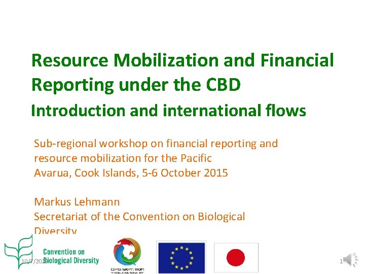 Resource Mobilization and Financial Reporting under the CBD Introduction and international flows Sub-regional workshop