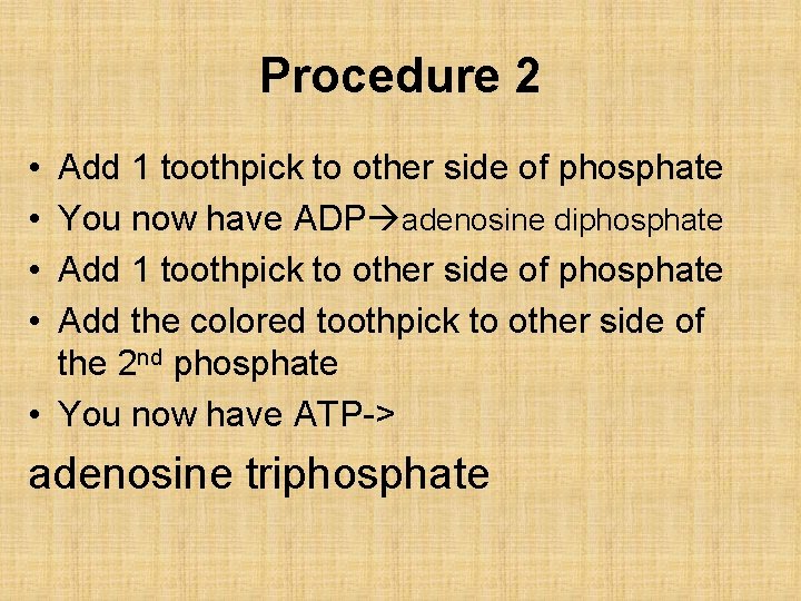 Procedure 2 • • Add 1 toothpick to other side of phosphate You now