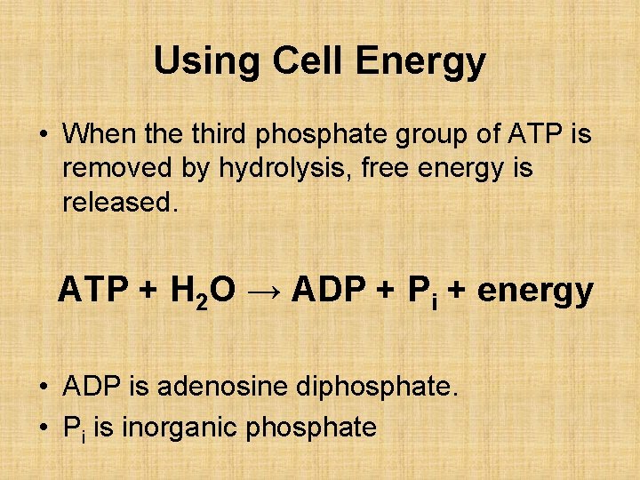 Using Cell Energy • When the third phosphate group of ATP is removed by