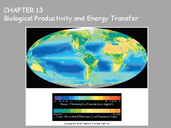 CHAPTER 13 Biological Productivity and Energy Transfer Fig. 13. 5 