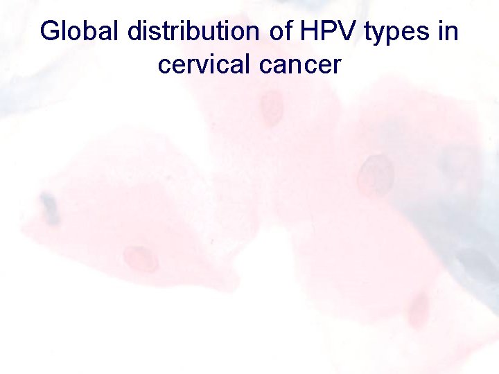 Global distribution of HPV types in cervical cancer 