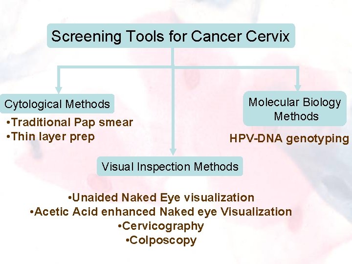 Screening Tools for Cancer Cervix Molecular Biology Methods Cytological Methods • Traditional Pap smear