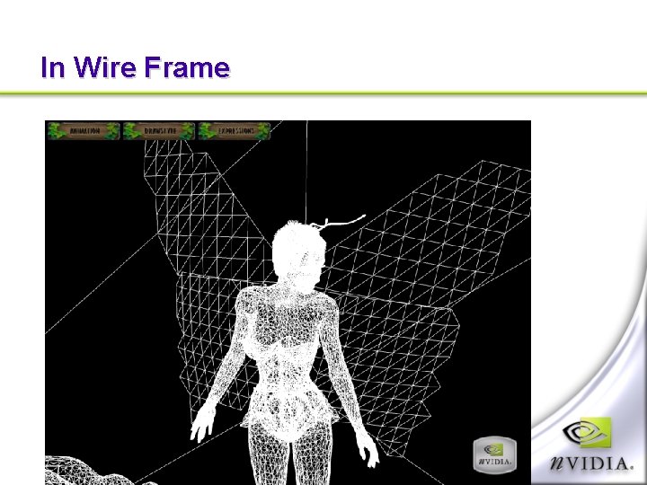 In Wire Frame 