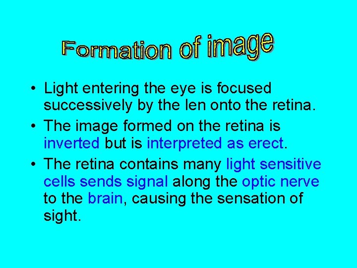  • Light entering the eye is focused successively by the len onto the