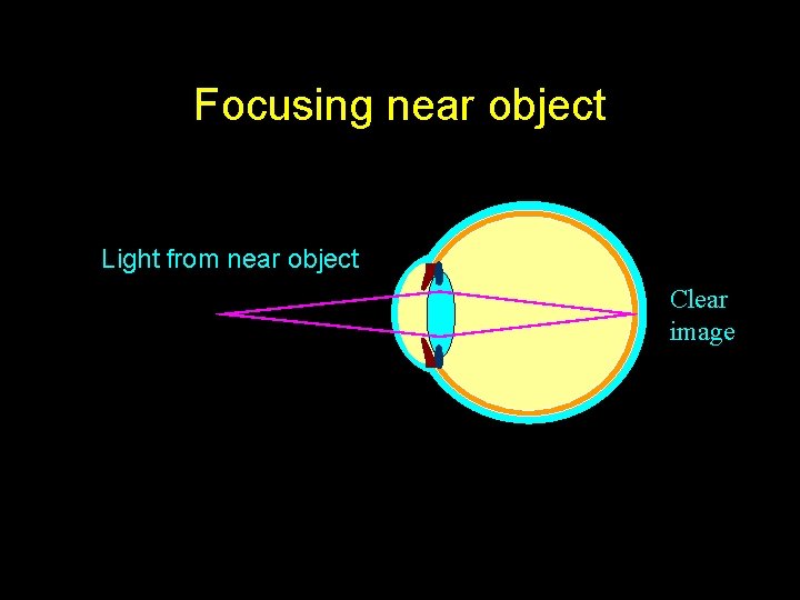 Focusing near object Light from near object Clear image 