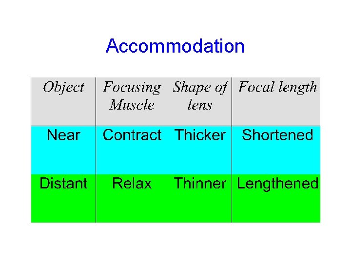 Accommodation 