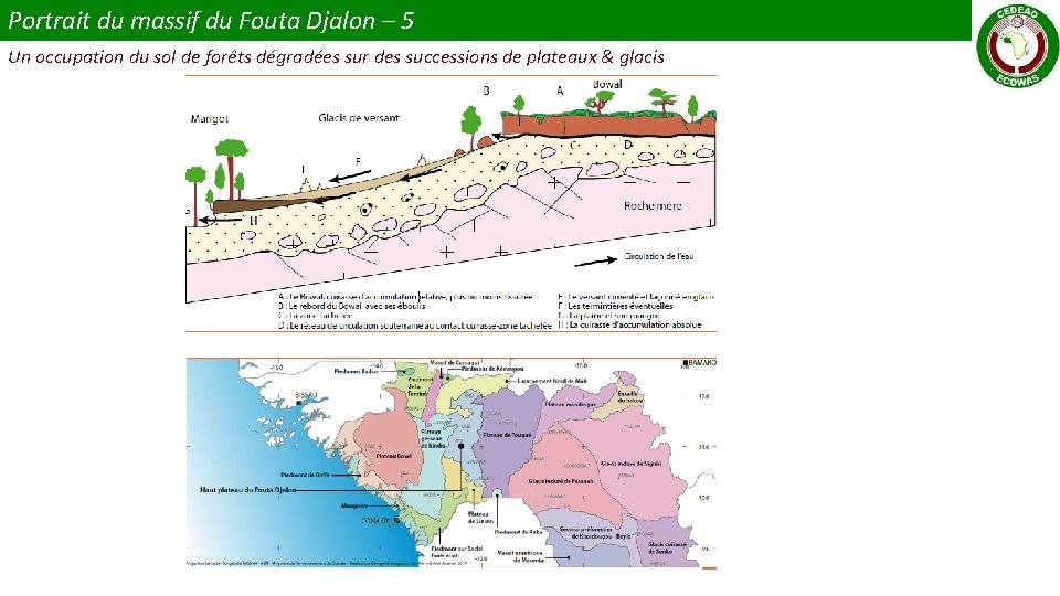 Portrait du massif du Fouta Djalon – 5 Un occupation du sol de forêts