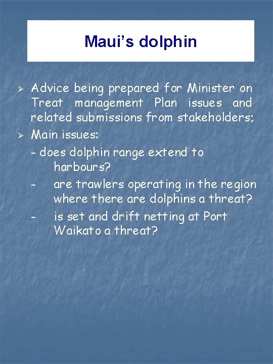 Maui’s dolphin Ø Ø Advice being prepared for Minister on Treat management Plan issues Maui’s dolphin Ø Ø Advice being prepared for Minister on Treat management Plan issues