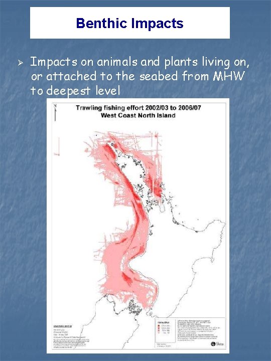 Benthic Impacts Ø Impacts on animals and plants living on, or attached to the Benthic Impacts Ø Impacts on animals and plants living on, or attached to the