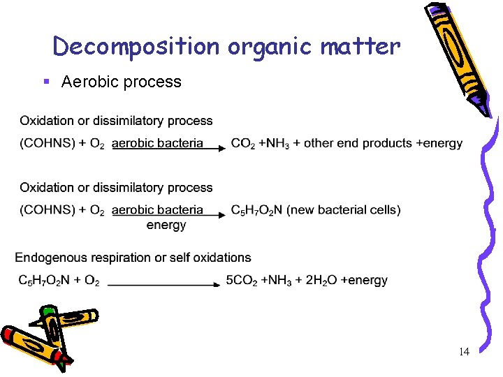 Decomposition organic matter § Aerobic process 14 