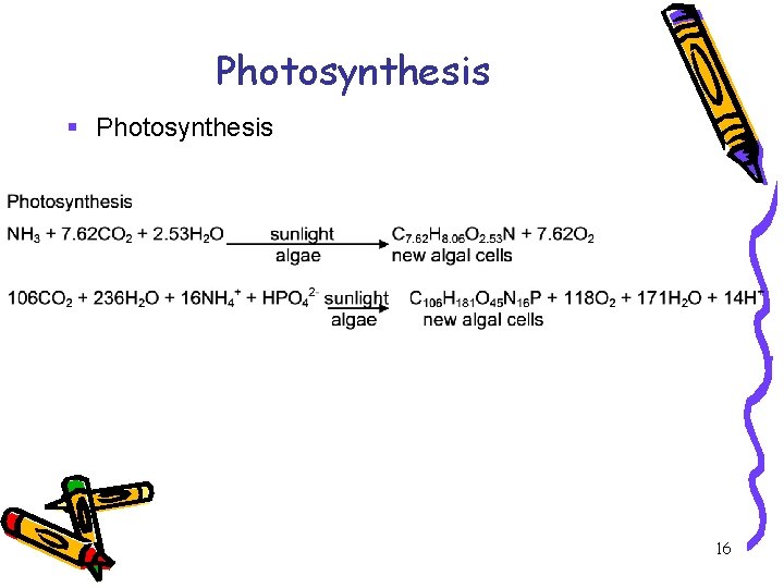 Photosynthesis § Photosynthesis 16 