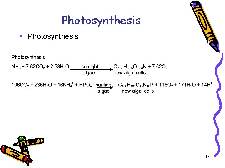Photosynthesis § Photosynthesis 17 