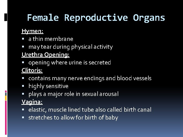 Female Reproductive Organs Hymen: a thin membrane may tear during physical activity Urethra Opening: Female Reproductive Organs Hymen: a thin membrane may tear during physical activity Urethra Opening: