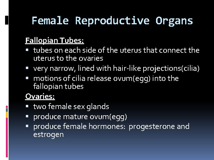 Female Reproductive Organs Fallopian Tubes: tubes on each side of the uterus that connect Female Reproductive Organs Fallopian Tubes: tubes on each side of the uterus that connect